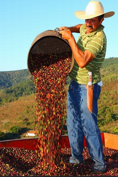 Custapec Valley Coffee