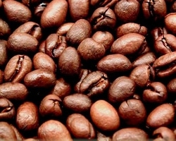 roasted peaberry coffee beans